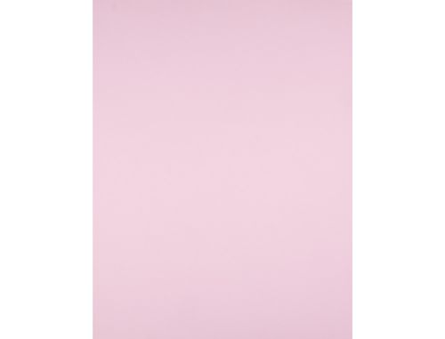 Cartolina liderpapel 50x65 cm 240 gr rosa , Liderpapel , 43466 , 8423473834255